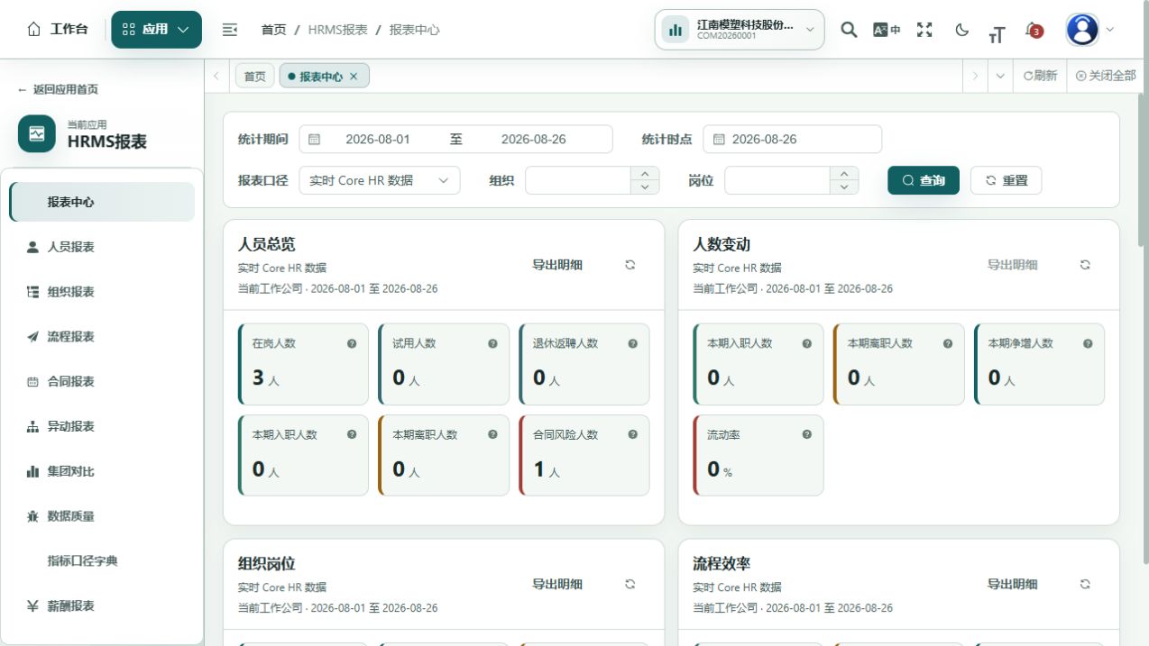 当前 HCM 报表界面